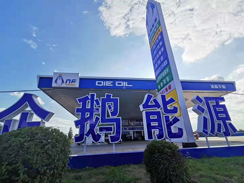 蘑菇视频黄色片